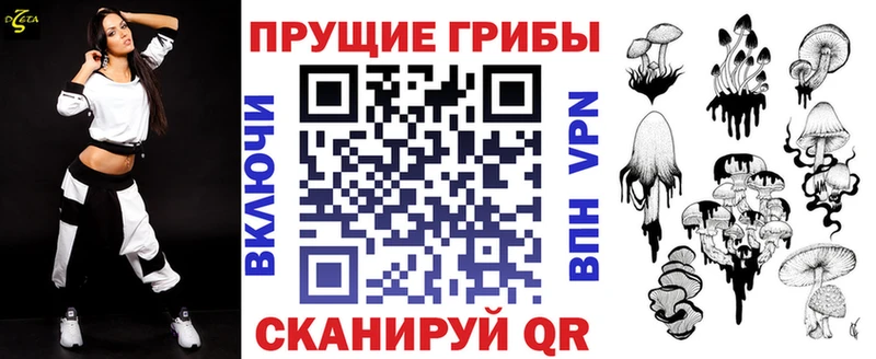цены   Беслан  Галлюциногенные грибы Psilocybine cubensis 