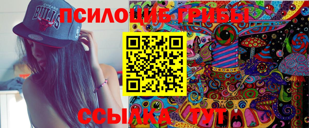 Галлюциногенные грибы Cubensis Беслан