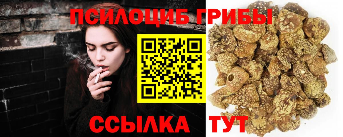 где найти наркотики  Вход с VPN  Галлюциногенные грибы ЛСД  Беслан  Галлюциногенные грибы Psilocybe 
