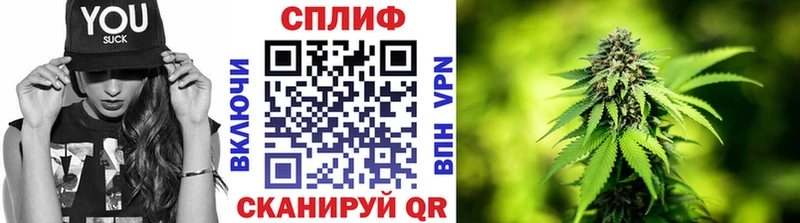 Конопля MAZAR  Беслан 
